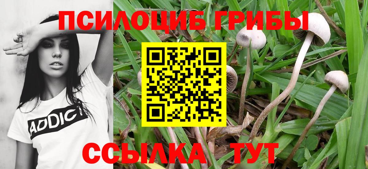 Галлюциногенные грибы Cubensis  Вход с VPN  Псилоцибиновые грибы Magic Shrooms  Озёрск 